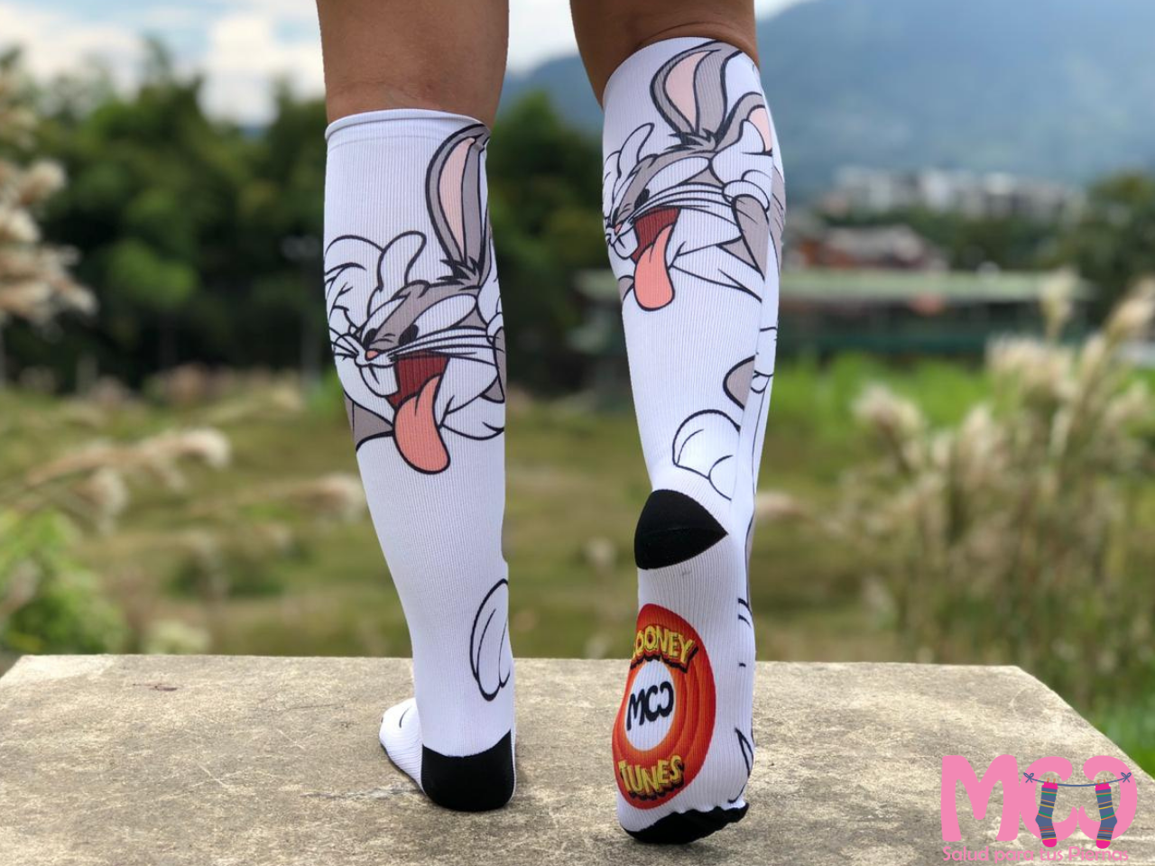 Bugs Bunny Design