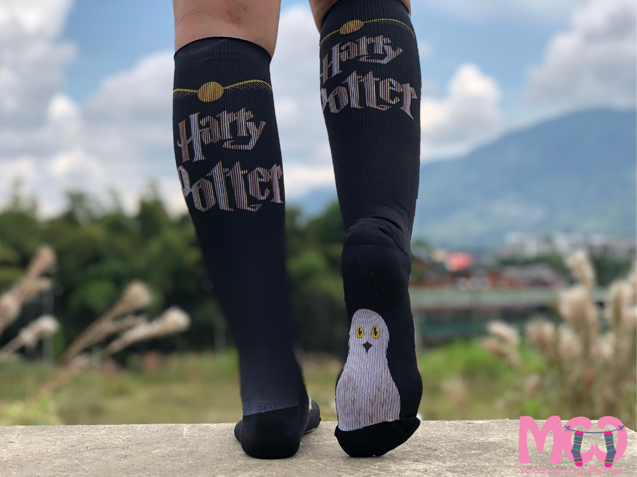 M.C.C Harry Potter Design